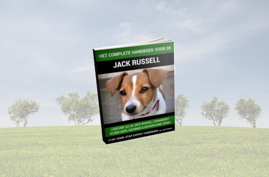 Complete Handboek Jack Russell