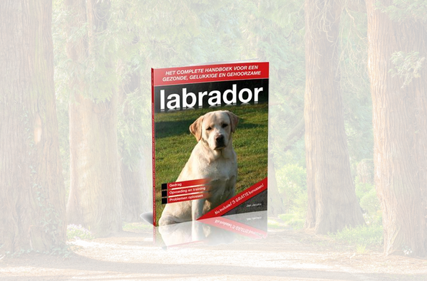 Labrador Upgrade Pakket