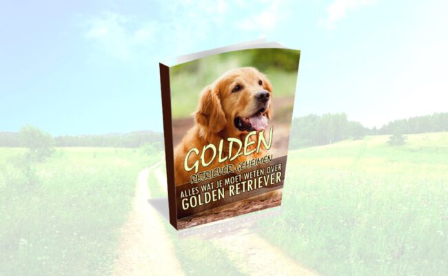 review golden retriever geheimen